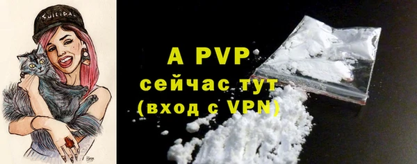 дмт Ельня
