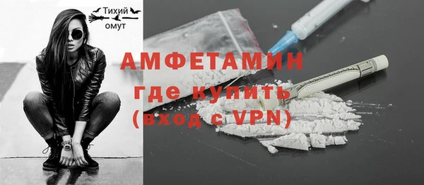 дмт Ельня