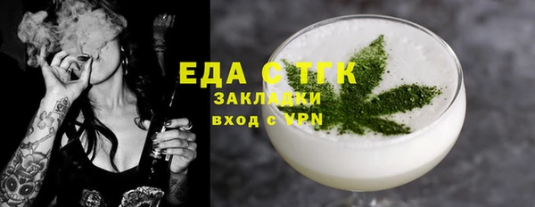 дмт Ельня