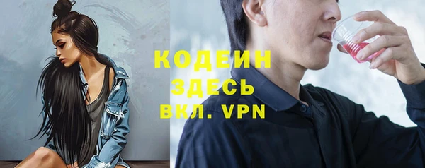 спайс Няндома