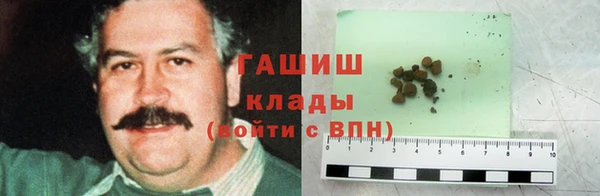 дмт Ельня