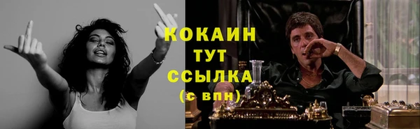дмт Ельня