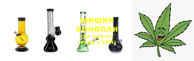 спайс Няндома