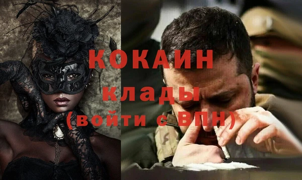дмт Елизово