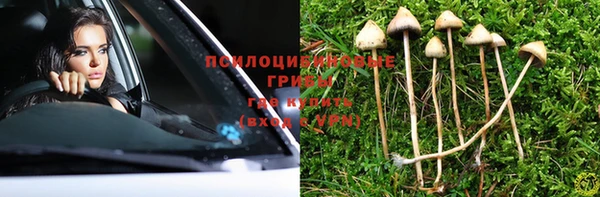 дмт Ельня