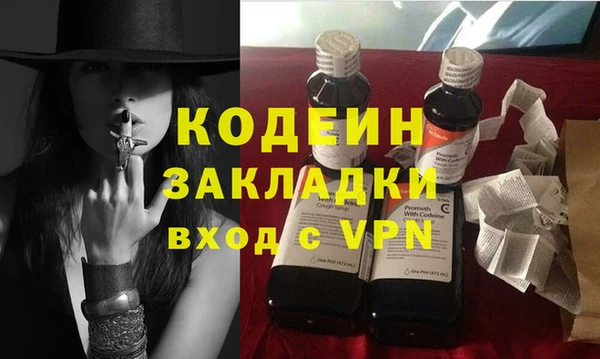 дмт Ельня