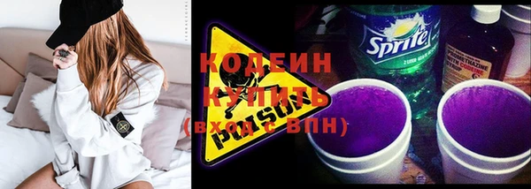 дмт Елизово