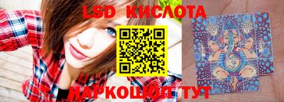 стаф Кандалакша