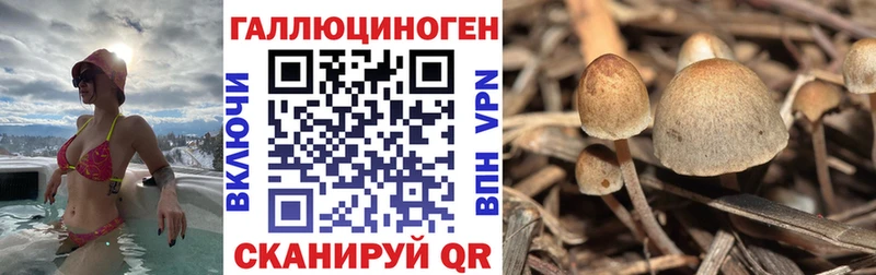купить сайты Свободный Галлюциногенные грибы Magic Shrooms