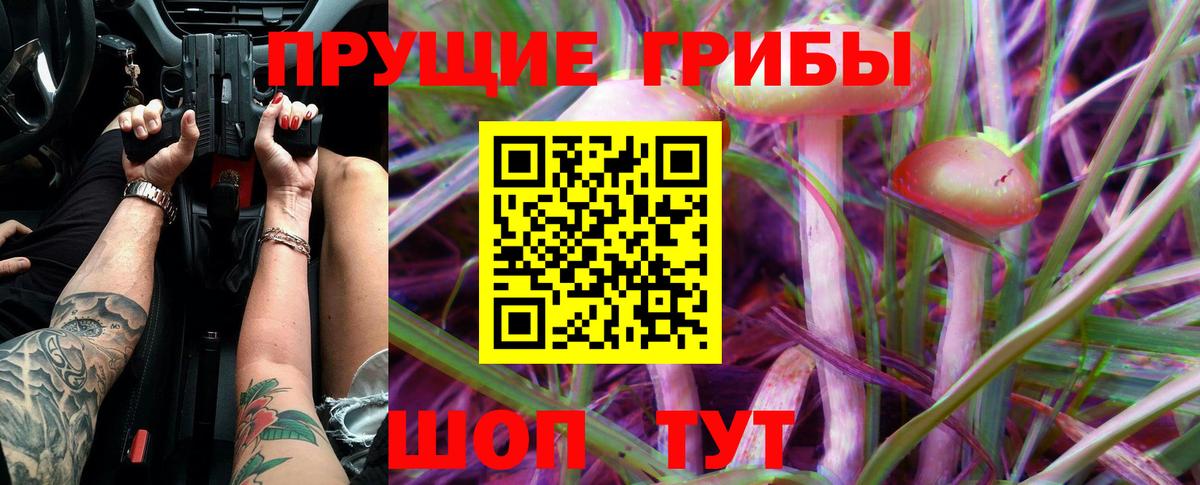 Свободный  Псилоцибиновые грибы ЛСД  Вход с VPN 